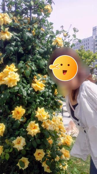 ひさみ